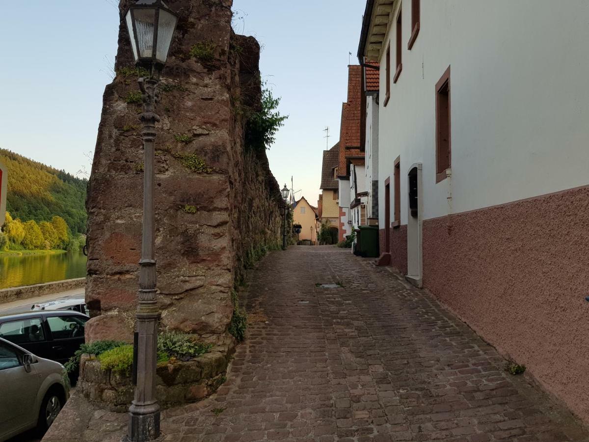 הירשהורן Zauberhafte Wohnung In Der Naehe Von Heidelberg, Top Lage מראה חיצוני תמונה