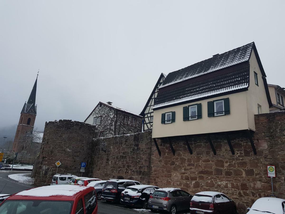 הירשהורן Zauberhafte Wohnung In Der Naehe Von Heidelberg, Top Lage מראה חיצוני תמונה