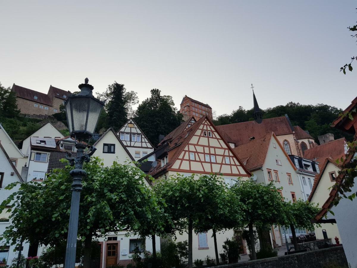 הירשהורן Zauberhafte Wohnung In Der Naehe Von Heidelberg, Top Lage מראה חיצוני תמונה