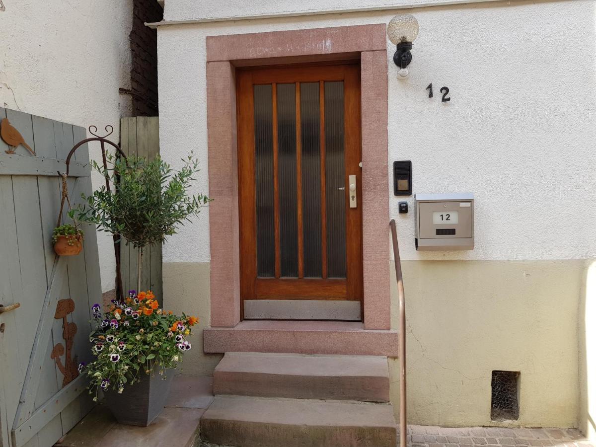 הירשהורן Zauberhafte Wohnung In Der Naehe Von Heidelberg, Top Lage מראה חיצוני תמונה